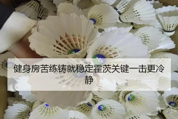 健身房苦练铸就稳定霍茨关键一击更冷静 - SANYI